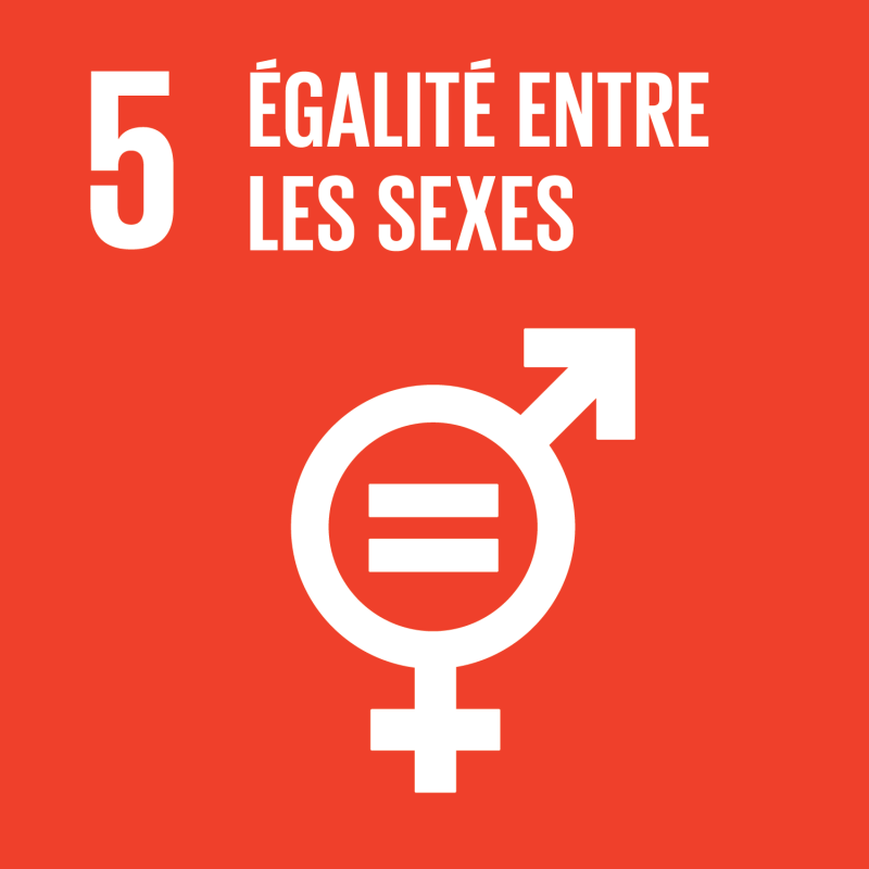ODD 5 – Égalité entre les sexes