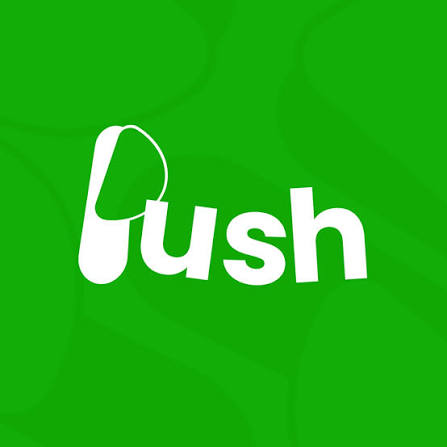 Logo PUSH